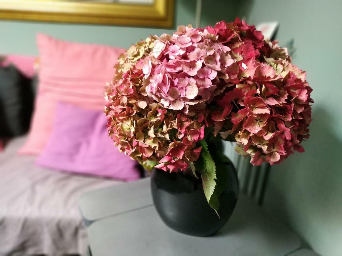 Apartament Chez Anne Fécamp Zewnętrze zdjęcie